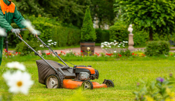 Garden & Park Landscaping Services