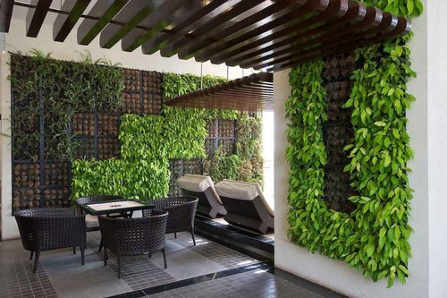 Indoor & Outdoor Plant Setup Service