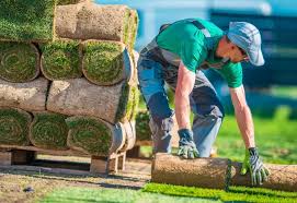 Lawn Development (Natural Grass & Turf)