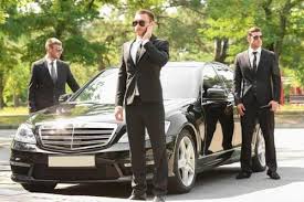 VIP Protection Service